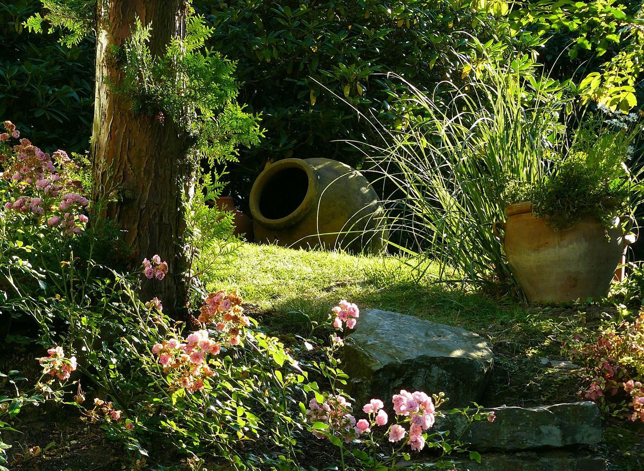 Ogród jak dżungla – krótki poradnik dla początkującego ogrodnika